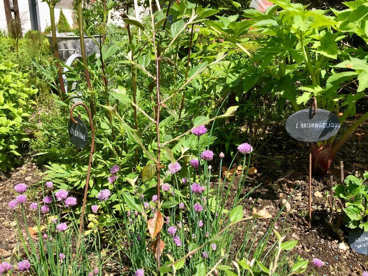 Le Grenier Du Jardin Bed and Breakfast Pontorson Bed & Breakfast